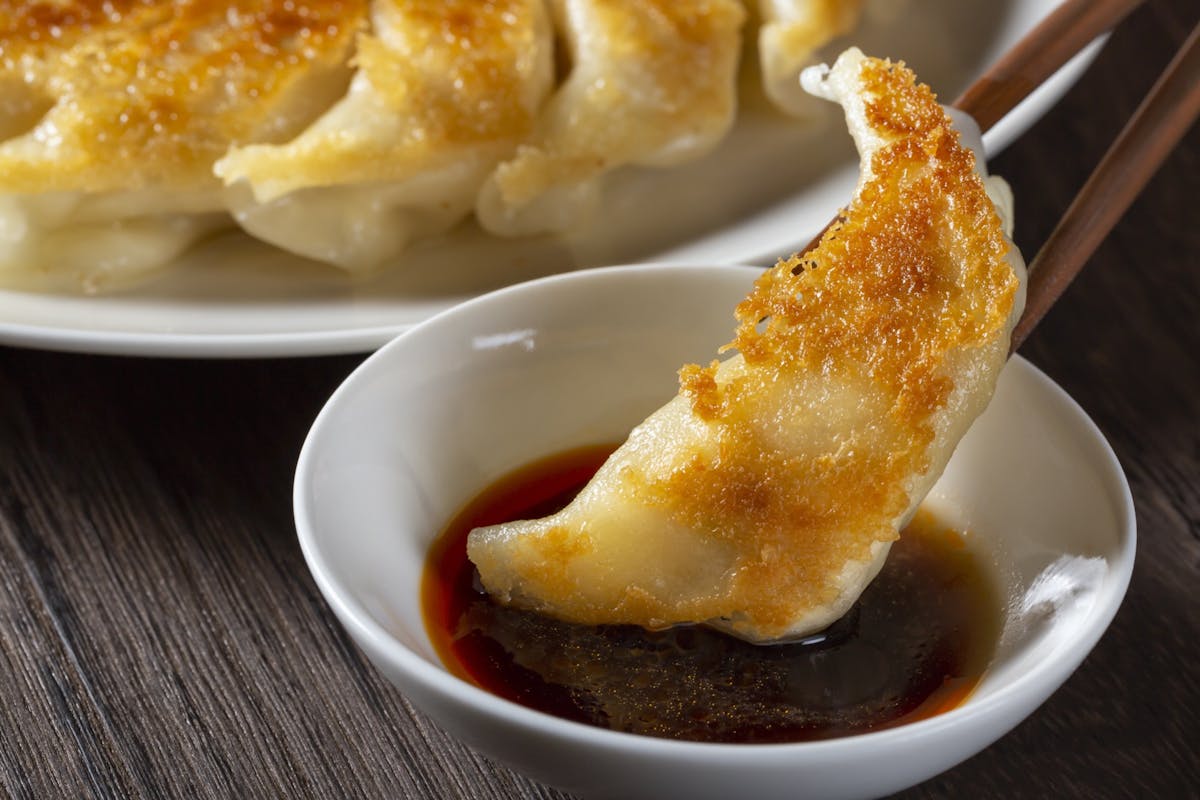 Nova GYOZA !!!
